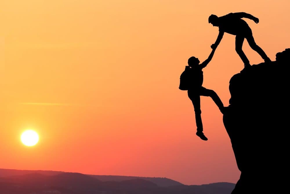 Nemus Insights builds trusted partnerships